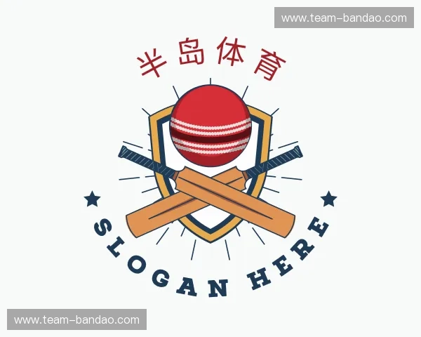 关于半岛体育